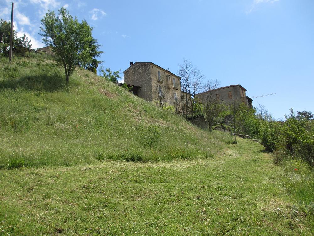 IMG 3501