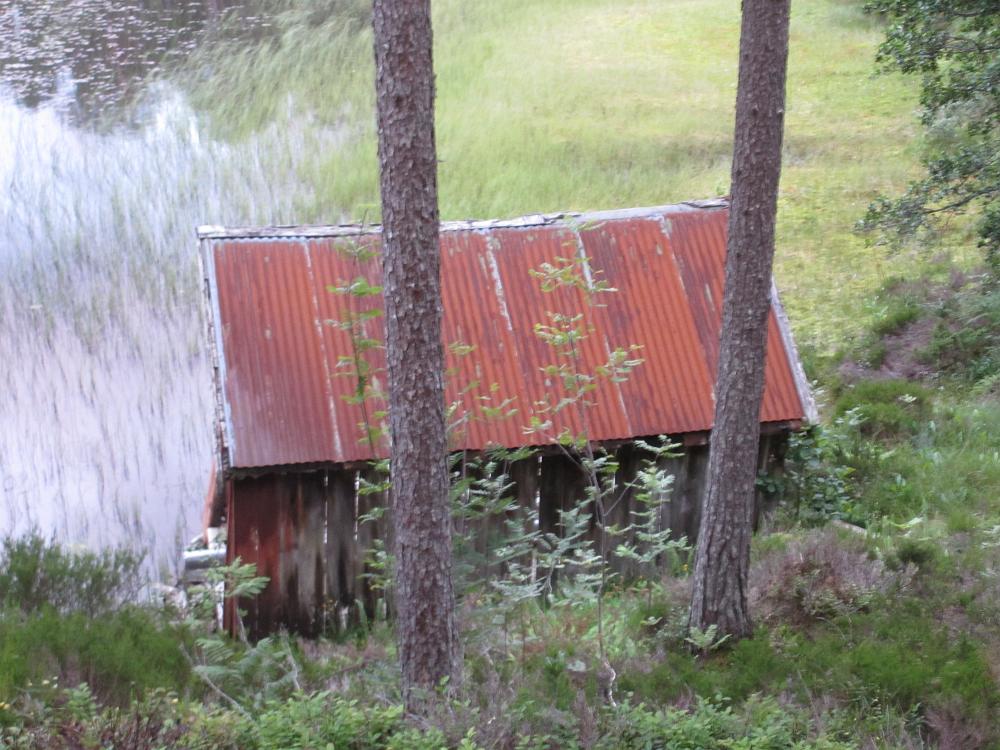 IMG 0250