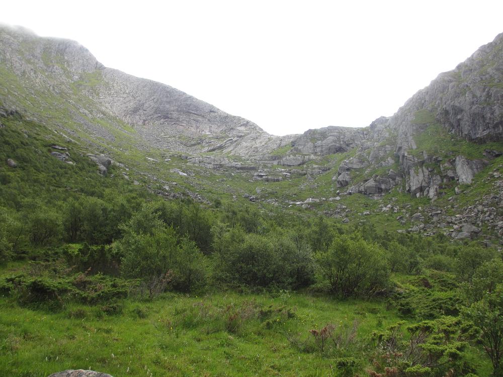 IMG 0290