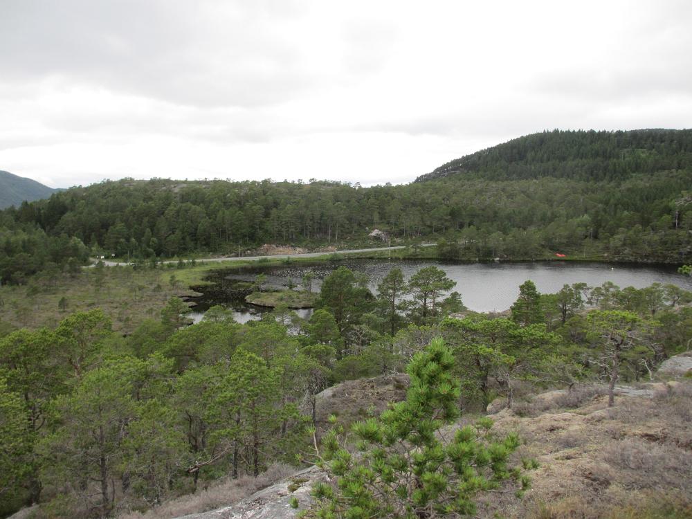 IMG 0387
