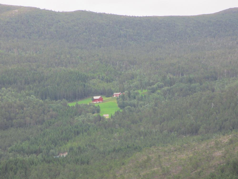 IMG 0405