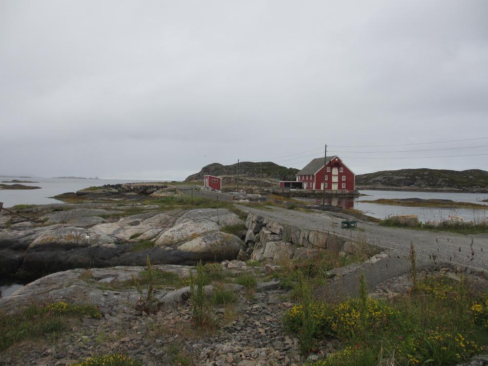 IMG 0439