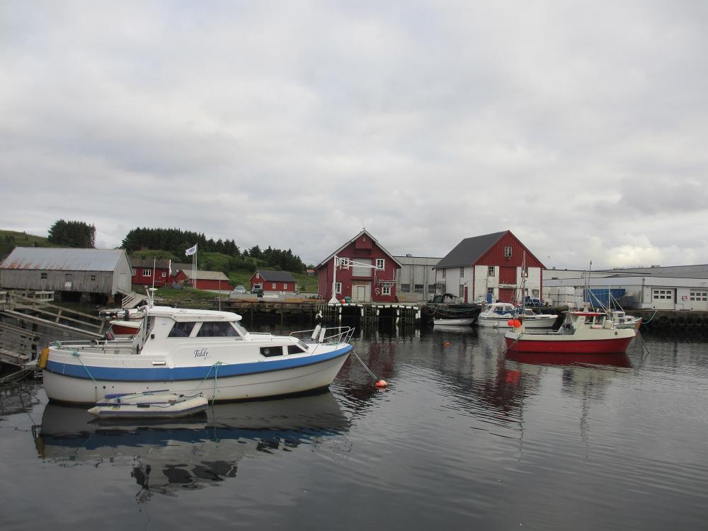 IMG 0531