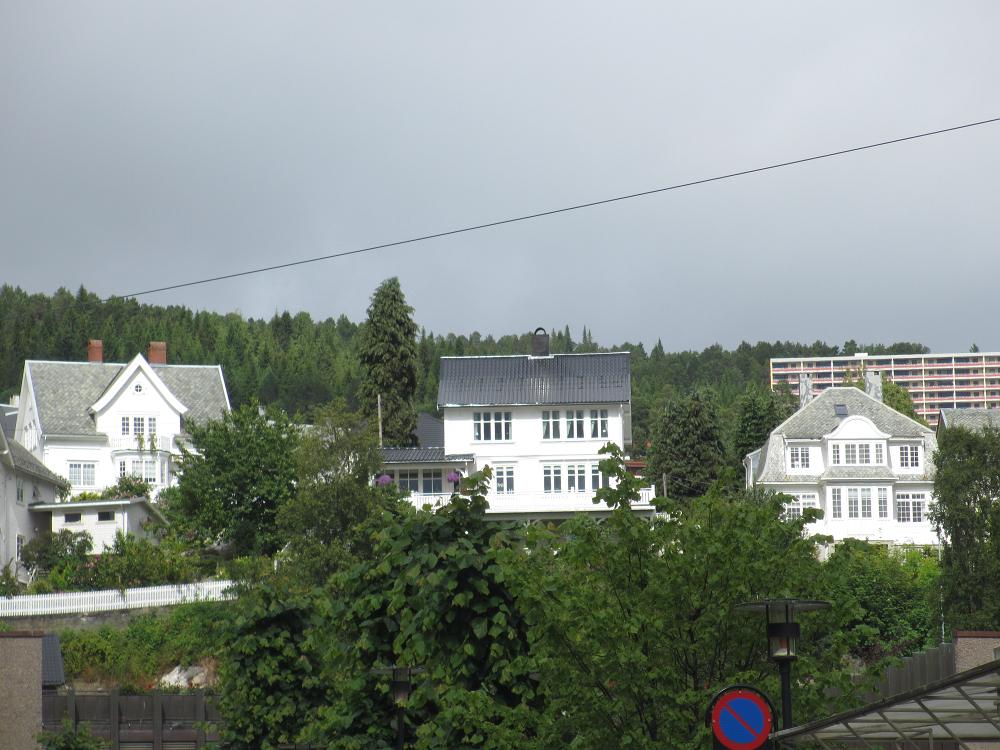 IMG 0587
