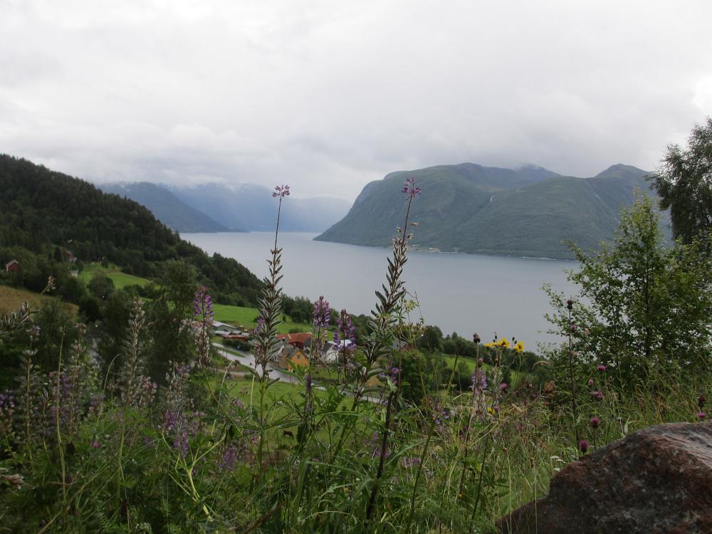 IMG 0598