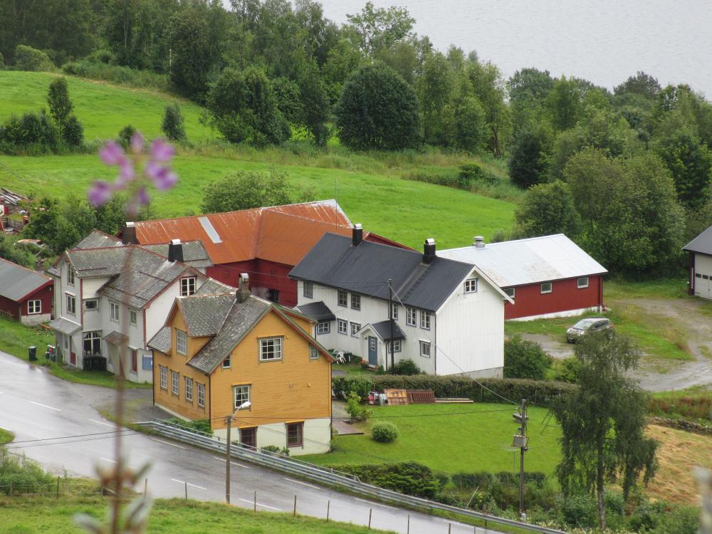 IMG 0601