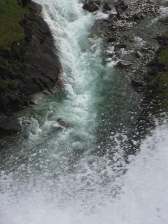 IMG 0666