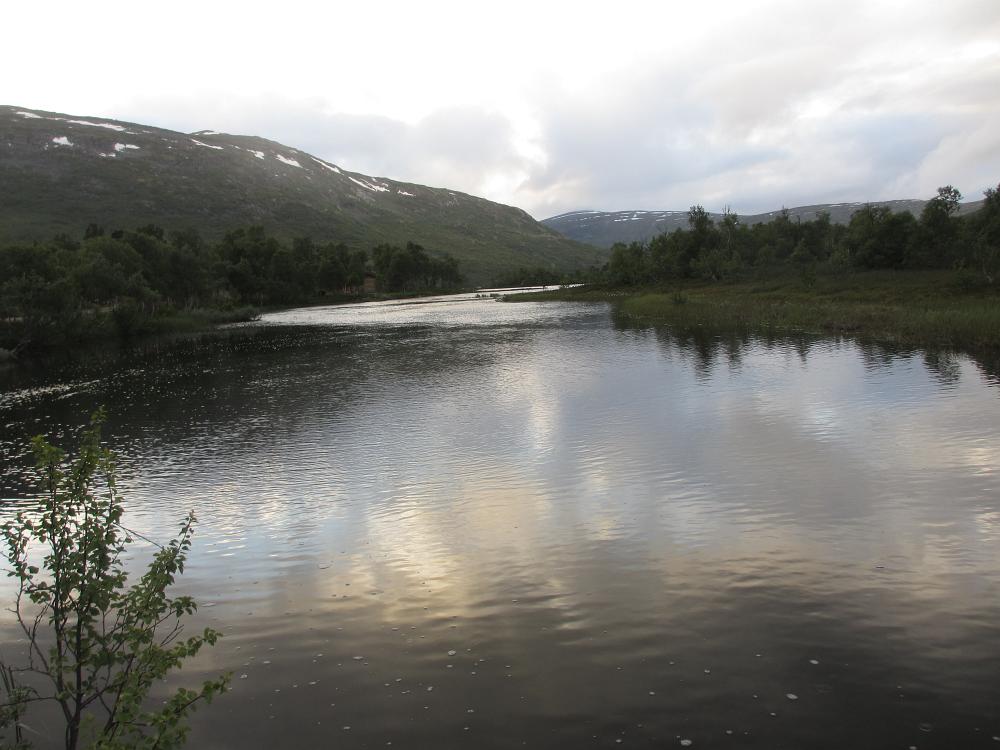 IMG 0685