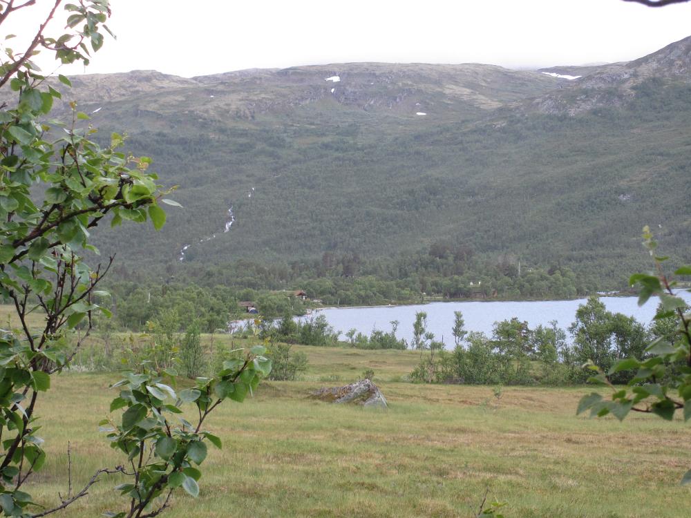 IMG 0687