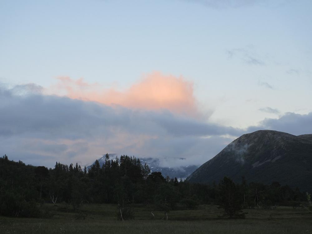 IMG 0696