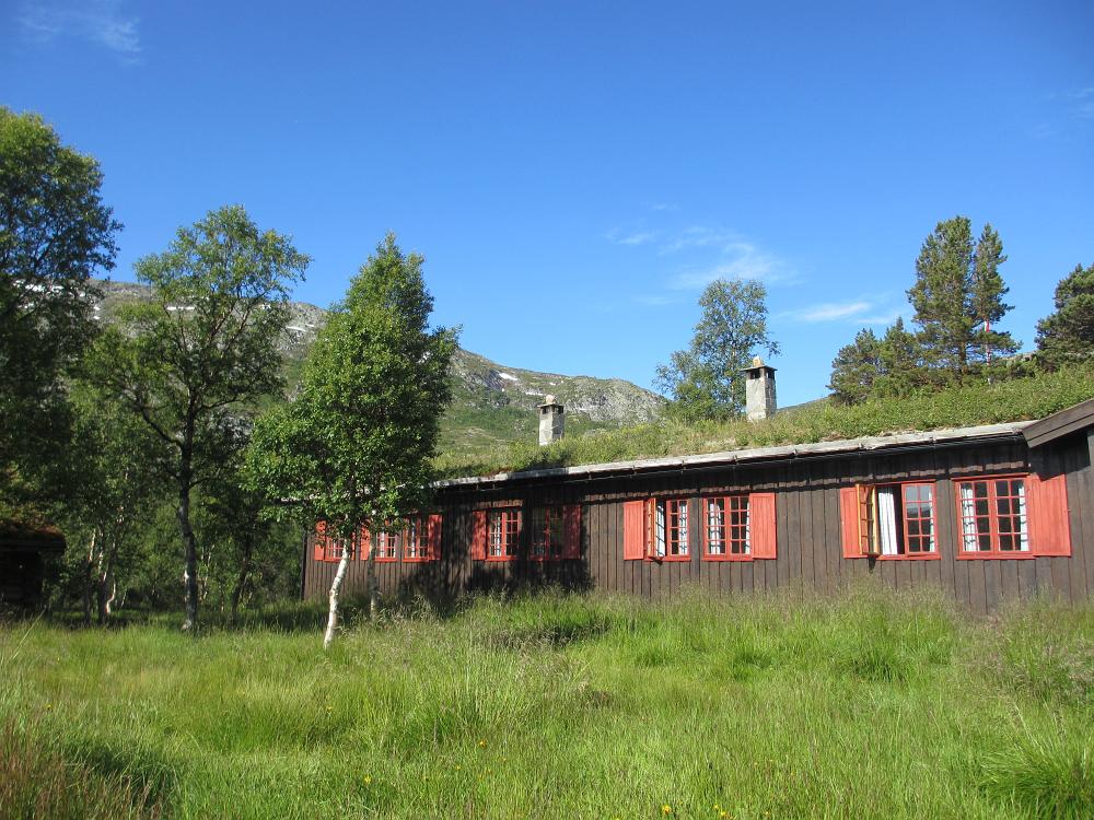 IMG 0740
