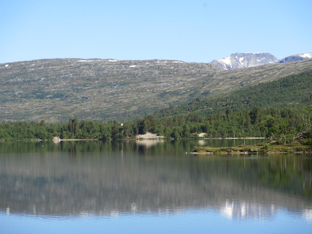IMG 0754