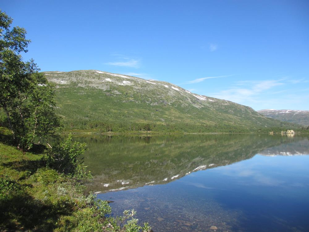 IMG 0756