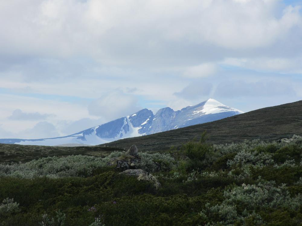 IMG 0775