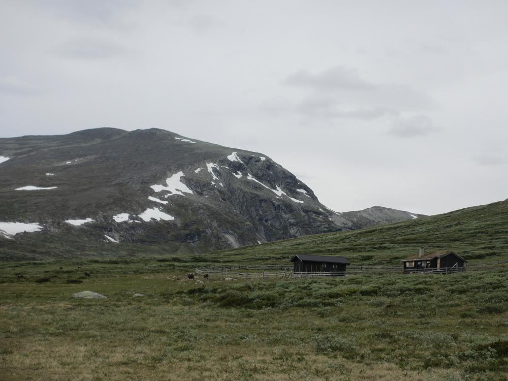 IMG 0783