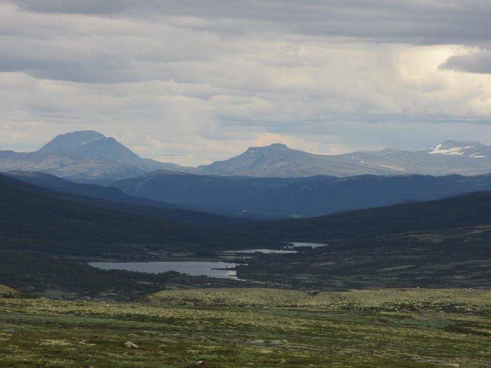 IMG 0810