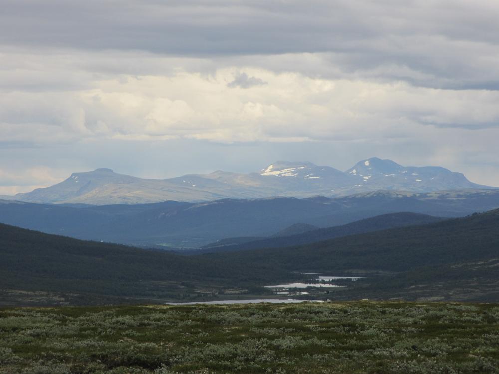 IMG 0813
