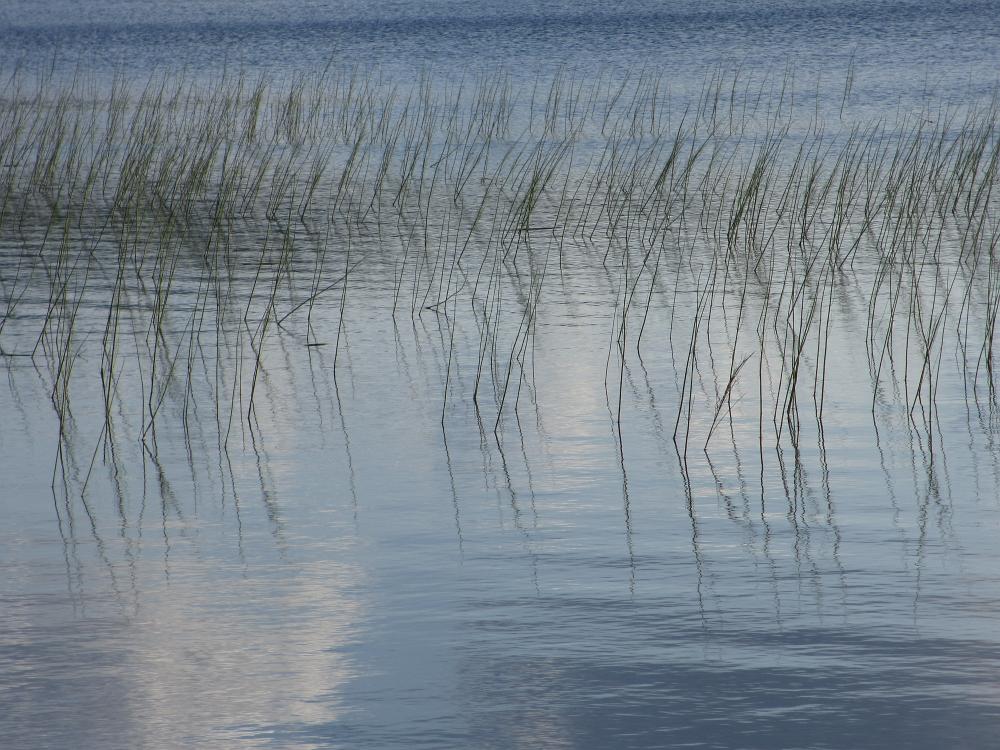 Norge2018 0446